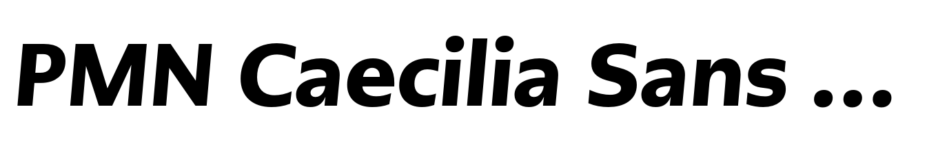 PMN Caecilia Sans Text Black Oblique